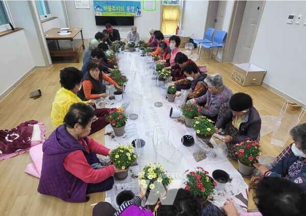 반려식물 심기 프로그램 운영