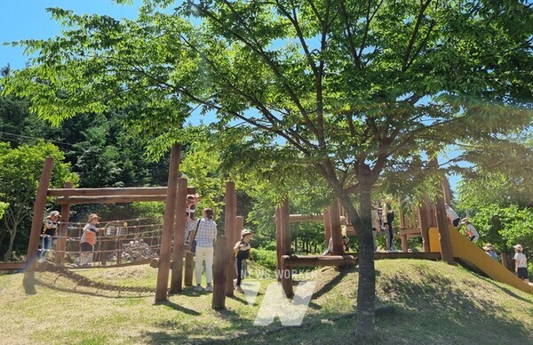 장성 최초로 유아숲 체험원이 조성되는 장성공원 생태놀이터. 아이들이 신나게 뛰어놀고 있다.