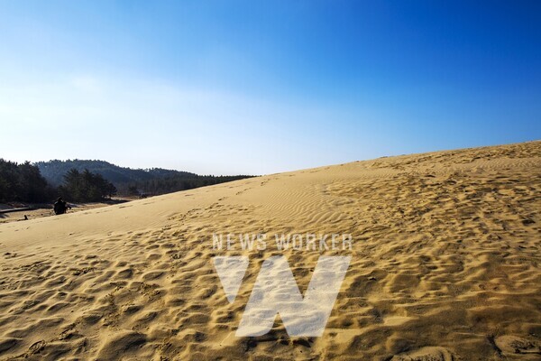 ’태안 봄과 여름 사이 여행’ 이미지(신두리 해안사구)