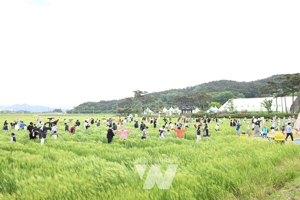 영광군, '제10회 영광찰보리 어울마당' 성황리에 마쳐
