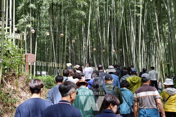 ‘대숲처럼, 초록처럼’을 주제로 지난 11일부터 15일까지 5일간 열린 제23회 담양대나무축제가 65만의 인파가 방문하며 성황리에 마무리됐다.