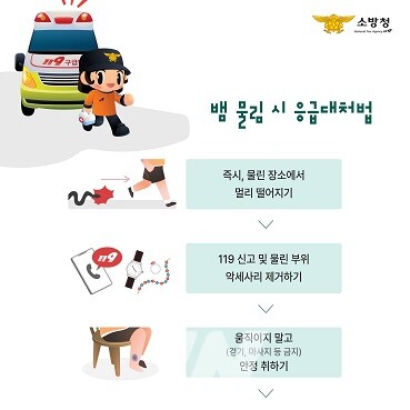 소방청(뱀물림 응급대처법)