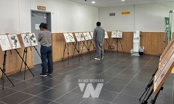 국립나주숲체원서 한국특산 식물표본전시회