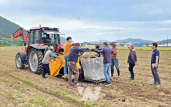 마늘수확기 시연회