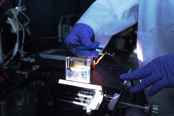 GIST 송영민 교수 연구팀이 1V 이하의 매우 작은 전압에서 빛과 물질 간의 상호작용을 극적으로 변화시키는 99%에 가까운 고효율 광신호 변조 효율의 광변조소자를 개발하고 있다.