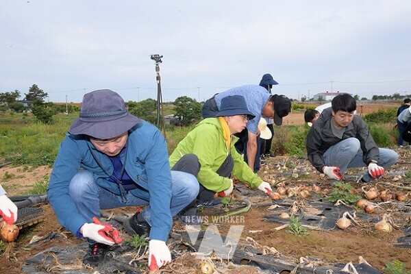 무안 농촌일손돕기