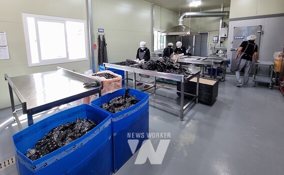 사회적경제기업 현장실사