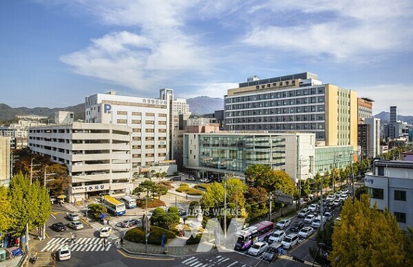 전남대병원 전경