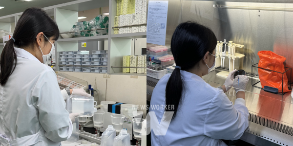 레지오넬라균 검사