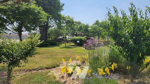 광주서부교육지원청이 주기적인 예초 업무로 어려움을 겪는 학교를 위해 시범적으로 여름방학 중 학교 예초 사업을 맡아 진행한다