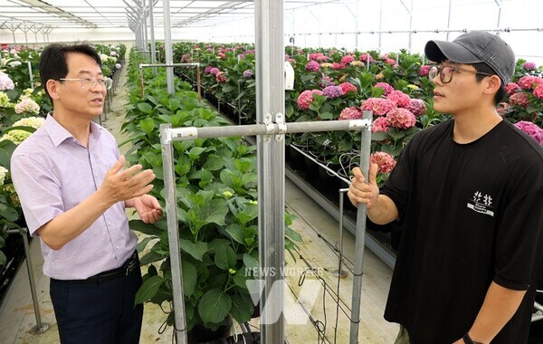 강진원 강진군수가 하이홉스 목공예 공방을 찾아 김시온 대표와 대화를 나누고 있다.  2. 강진원 군수가 군동면 절화수국 재배하우스를 찾아 가업 2세 승계 청년 김승찬 씨와 대화를 나누고 있다.