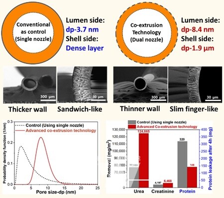 공압출 공정을 이용한 혈액투석용 중공사막의 특성 및 요독 제거 성능
