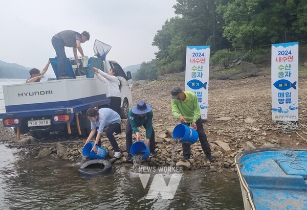 전라남도해양수산과학원은 내수면 생태계 자원증대와 지속가능한 어업기반 조성을 위해 24일 순천시 등 16개 시군, 16개 공공용수면에 메기 34만 마리를 방류했다