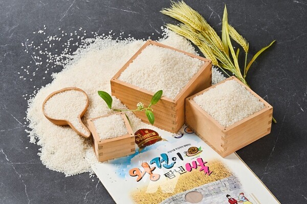 나주 왕건이탐낸쌀이 2년 연속 전남 10대 고품질 브랜드쌀에 선정됐다. 사진은 왕건이탐낸쌀. (사진제공-나주시)