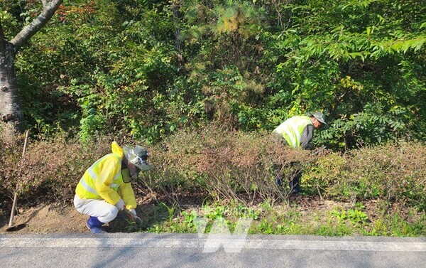 나주시가 올해 하반기 공공근로사업 참여자 40명을 모집한다. 사진은 올해 상반기 근로 장면. (사진제공-나주시)