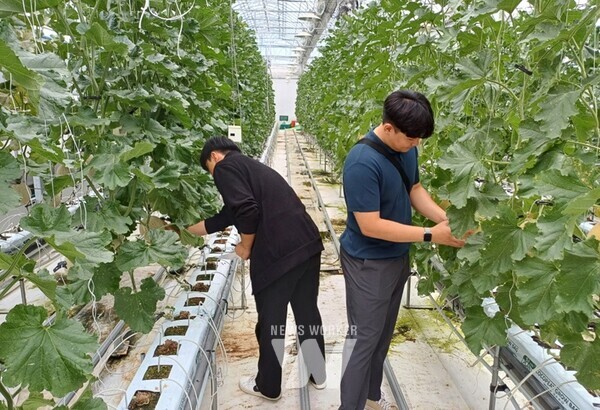 특화작목연구단지 테스트베드 견학