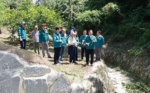 명창환 행정부지사가 주민과 함께 6월 26일 도곡면 덕곡마을에 설치한 사방댐 및 계류보전 설치 현장을 살피고 있다.