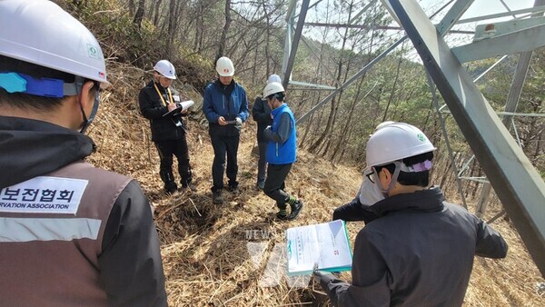 사외 전문기관 합동 철탑 특별진단 모습