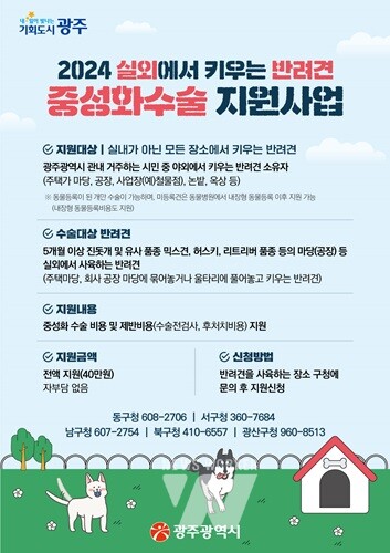 광주광역시(시장 강기정)는 5개 자치구와 함께 ‘실외 사육견 중성화 수술 지원사업’을 시행한다
