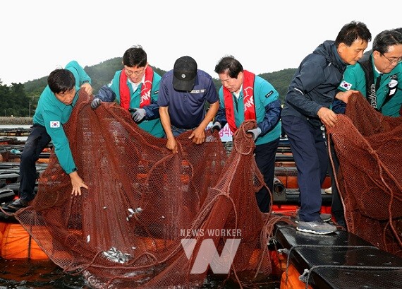 공영민 고흥군수(왼쪽에서 4번째)가 18일 금산면 우두해역에서 실시된 적조방제 모의훈련에서 감성돔 치어를 방류하고 있다