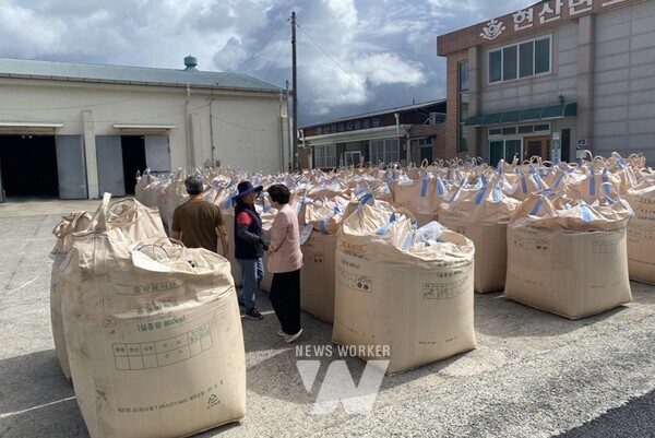 전남 해남군은 지난 24일부터 현산농협과 화원농협을 시작으로 8월 9일까지 민간재고 벼 2,900톤을 매입한다.