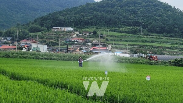 전남 진도군(군수 김희수)은 오는 29일부터 8월 15일까지 18일간 고품질 쌀 생산을 위해 벼 병해충 기본방제 기간을 운영할 계획이다.
