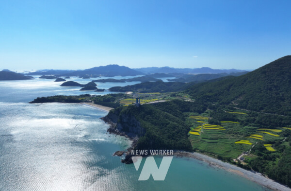 팔영산 편백치유의숲미르마루길나로도 편백숲