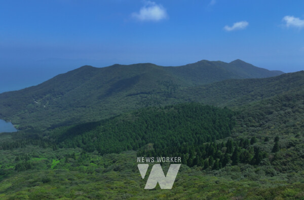 팔영산 편백치유의숲미르마루길나로도 편백숲