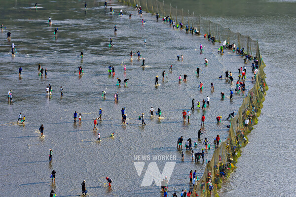 전남 진도군 진도읍에 위치한 청용어촌체험마을 앞 갯벌에서 오는 8월 3일(토) ‘개매기 체험’이 진행된다.