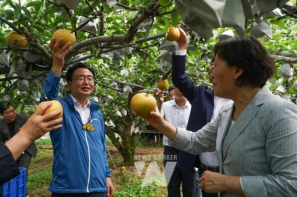 윤병태 나주시장(사진 왼쪽)이 송미령 농림축산식품부 장관과 함께 노안면 배농가를 찾아 현장 애로사항을 청취했다.(사진제공-나주시)
