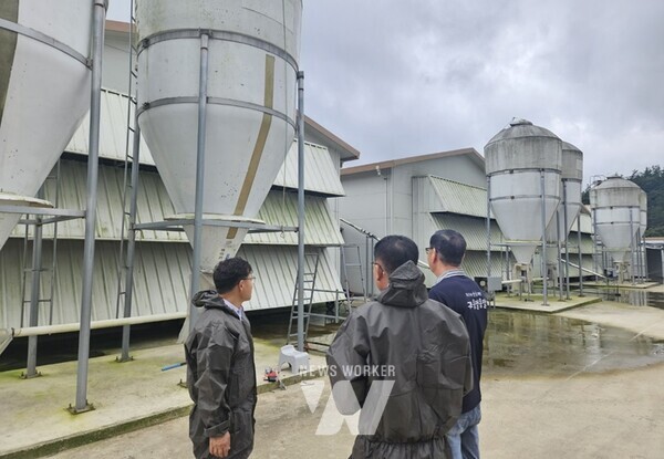 보성군 관계자가 산란계 농장을 방문해 폭염 대비상황 합동점검을 실시했다.
