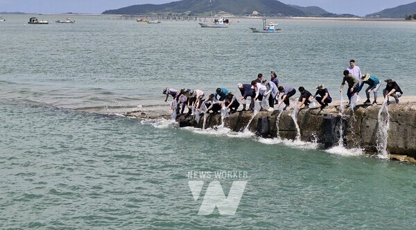 전라남도해양수산과학원은 1일 함평·영광군, 수협, 지역 주민과 함께 연안 수산자원 회복과 어업인 소득향상을 위해 부가가치가 높은 보리새우 종자 300만 마리를 도내 주요 서식지인 영광·함평 해역 방류했다