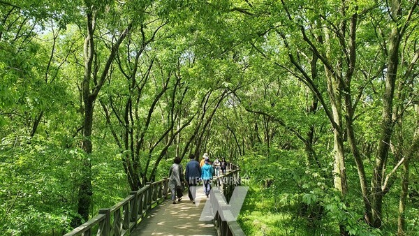 광주호 호수생태원