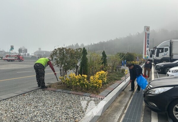 전남 진도군이 공공일자리 사업에 선발된 참여자를 대상으로 5일부터 11월 30일까지 하반기 공공일자리 사업을 시행한다.