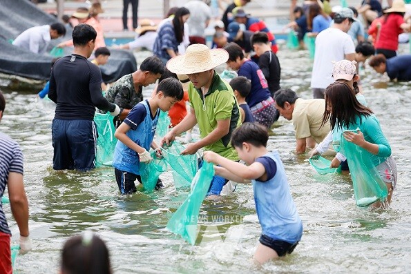 제16회 보성전어축제가 8월 16일 개막한다.(2017년 전어잡기 체험 )
