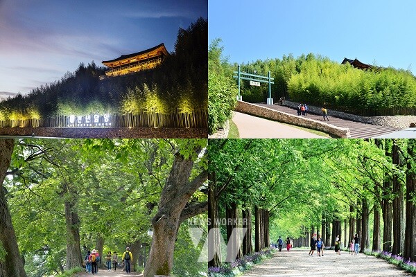 담양 명품숲, 산림청 주관 ‘아름다운 도시숲 50선’ 선정 쾌거