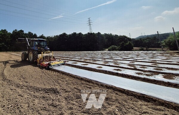 전남 해남군은 밭작물 농작업 기계화 촉진을 위해‘토양소독기 현장연시회’를 개최했다