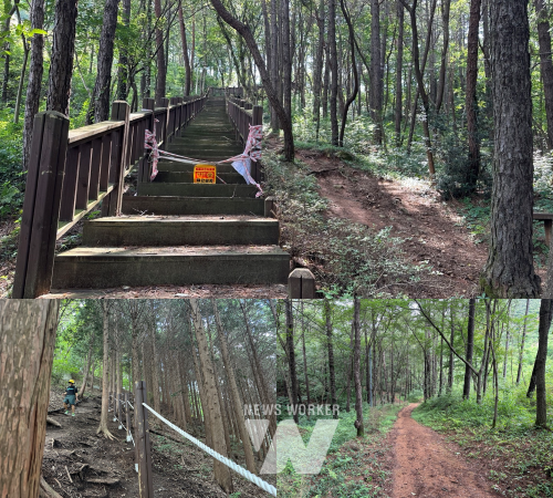 제봉산 데크 계단,축령산 로프 펜스 설치,제봉산 풀베기 작업