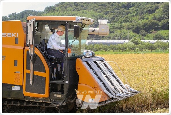 광양시는 지난 15일 진월면 차사리 일원에서 정인화 광양시장이 참석한 가운데 올해 첫 벼를 수확하는 행사를 개최했다