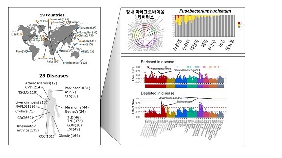 그림-인체 질병 마이크로바이옴 지도(Human Gut Microbiome Atlas)