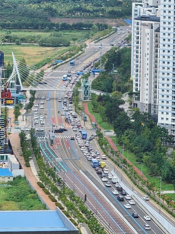 코스트코 진입로부터 길게 늘어선 차량 행렬 [사진=에펨코리아 캡처]