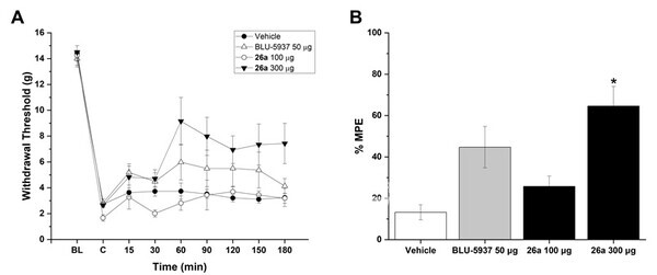 사진_(왼쪽부터) GIST 생명과학부 김용철 교수·진미선 교수, 전남대학교 의학과 윤명하 교수, GIST 생명과학부 김가람 박사과정생·김수빈 박사그림1_신경병증성 통증 모델에서 확인된 신규 길항제의 통증 완화 효과그림2_저온전자현미경(Cryo-EM) 분석 결과