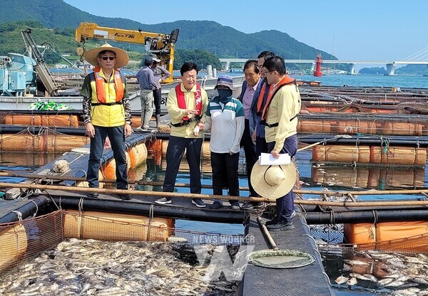 여수시(정기명)는 고수온으로 양식어류 폐사 피해를 본 어가를 대상으로 추석 전까지 재난지원금을 지급한다.