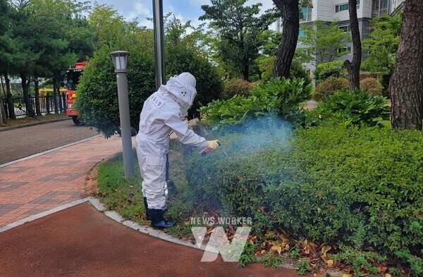 광주소방 벌집 제거