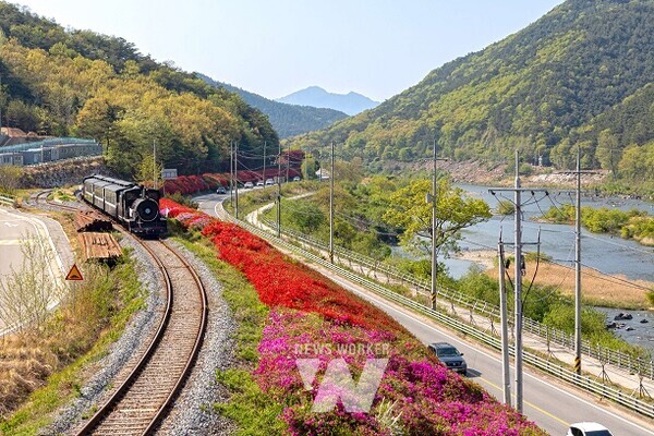 추천관광지- 곡성 섬진강변