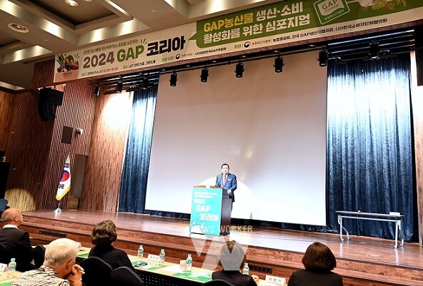 2024 GAP KOREA 현장