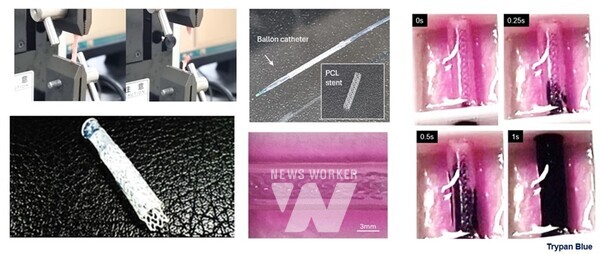 이희경 전남대 융합바이오시스템기계공학과 교수 2. 아쉬팍 아흐메드 융합바이오시스템기계공학과 석박사통합과정생 3. ‘Journal of Materials Chemistry B’ 표지 논문 게재4. 바이오프린팅 관상동맥을 이용한 스턴트 이식 시험 모습