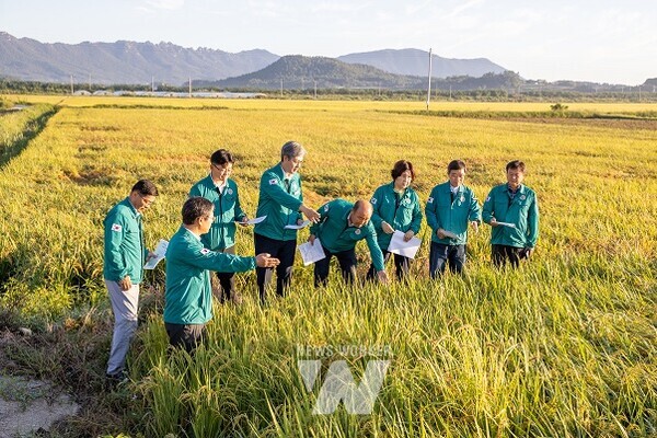 해남군의회(의장 이성옥)는 19일 벼멸구 발생이 급증하고 있는 북일·문내·산이·황산면 일대 벼 재배농지를 차례로 현장 방문했다