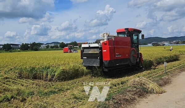 전라남도종자관리소가 전남 쌀 품질 향상을 통한 경쟁력 확보를 위해 지역 재배 여건에 알맞은 6개 벼 품종을 정해 26ha에서 120톤 생산을 목표로 10월 중순까지 수확을 마무리할 예정이다.