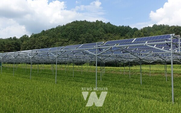 영농형태양광 예시